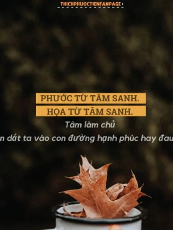 Phong thủy và Phật pháp